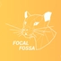 /things-i-do-on-focal-fossa/featured-image_hu_f71abd755c0ae299.webp